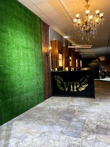 عکس پیرایش شاهین