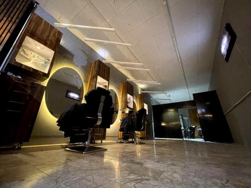 عکس پیرایش شاهین