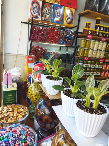 عکس سوغات سرای ترش و شیرین 