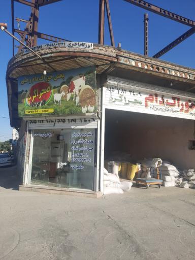 عکس پخش خوراک دام صحراگرد