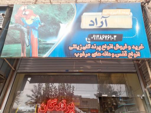 عکس پرنده سرای آراد