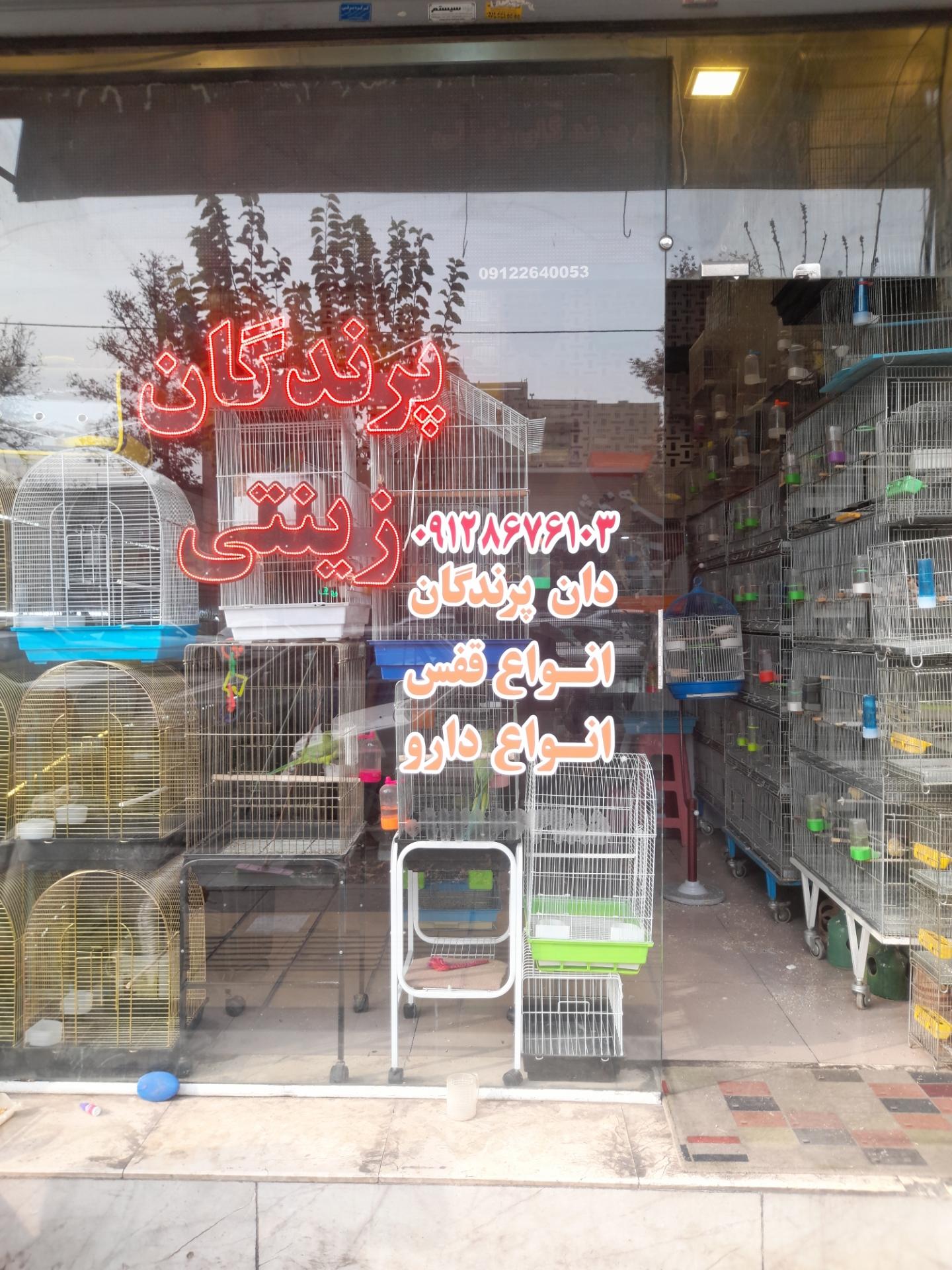 عکس پرنده سرای آراد