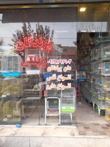 عکس پرنده سرای آراد