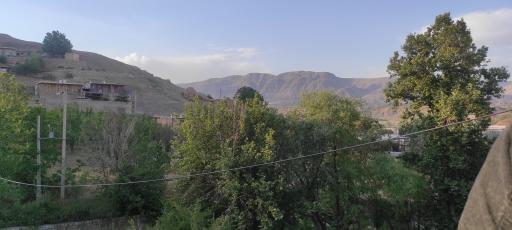 عکس کله هو