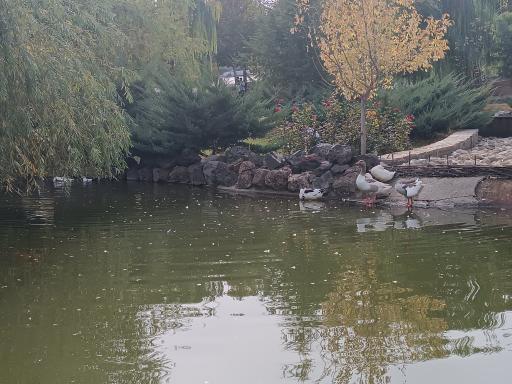 عکس مجتمع کلاس های دیاری گولان