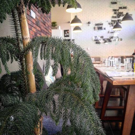 عکس رستوران ایتالیایی لیو