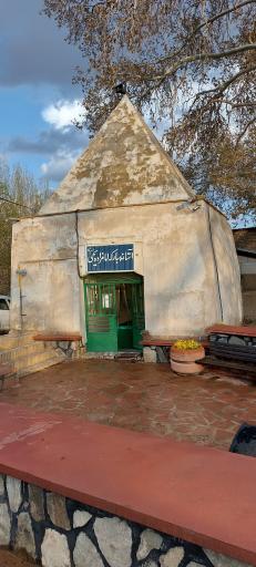 عکس درخت چنار ۸۰۰ ساله امامزاده یحیی 