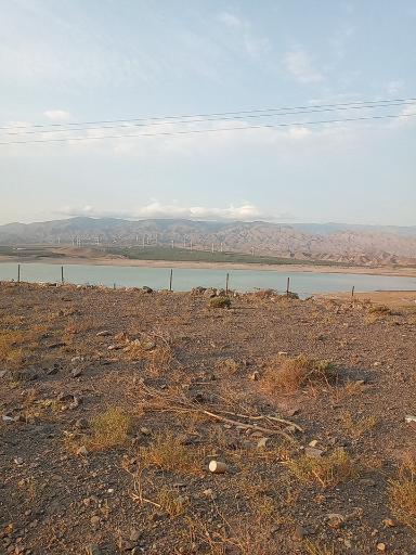 عکس طارم سر