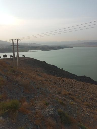 عکس طارم سر