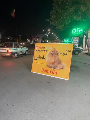 عکس پت شاپ لوازم حیوانات بامشی