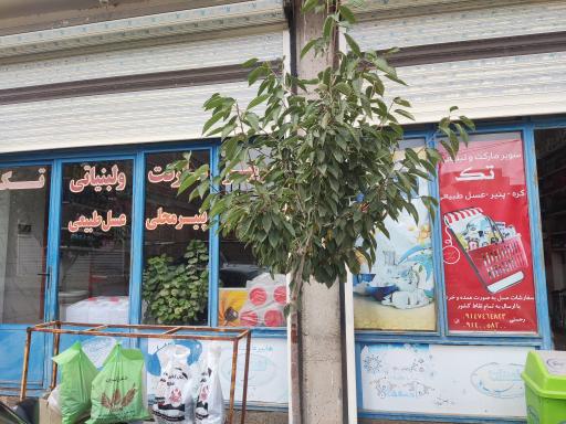 عکس سوپر مارکت تک