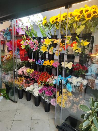 عکس کافه گل سکویا