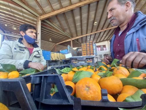 عکس میدان میوه و تره بار زاهدان