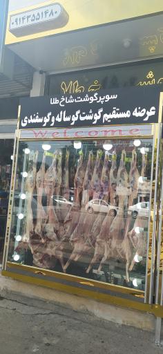 عکس سوپر گوشت شاخ طلا