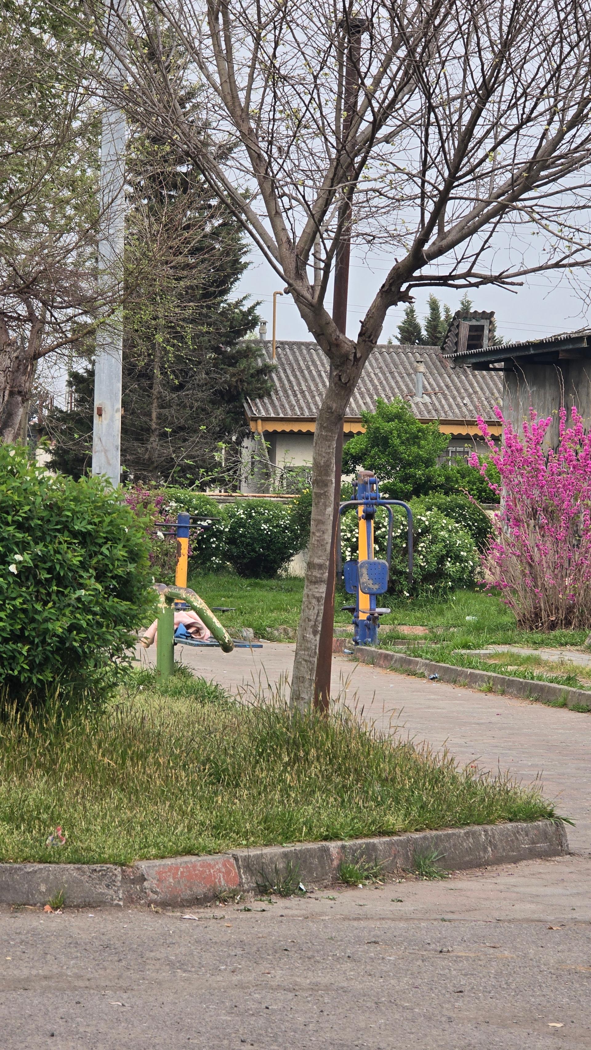 عکس بوستان قاضیانی