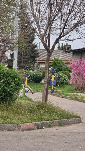 عکس بوستان قاضیانی