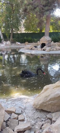 عکس باغ پرندگان مشهد