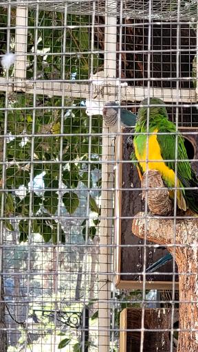 باغ پرندگان مشهد