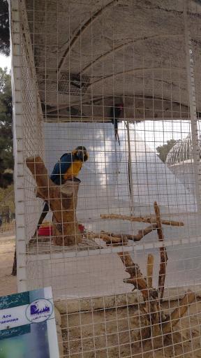 عکس باغ پرندگان مشهد