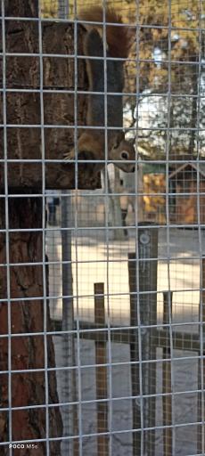 باغ پرندگان مشهد