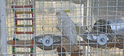 عکس باغ پرندگان مشهد