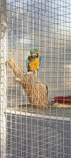 عکس باغ پرندگان مشهد