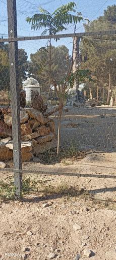 باغ پرندگان مشهد