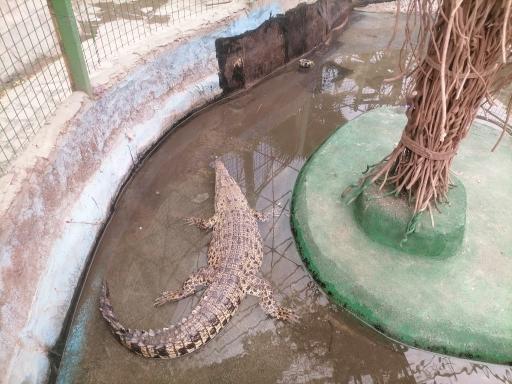 عکس باغ پرندگان مشهد