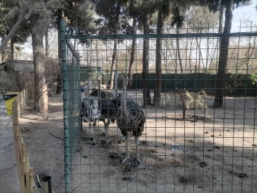 عکس باغ پرندگان مشهد