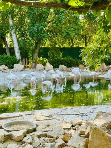 عکس باغ پرندگان مشهد