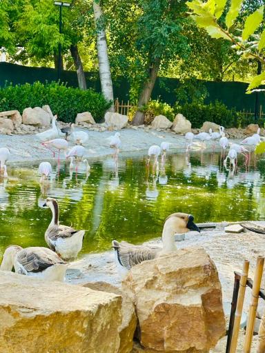 عکس باغ پرندگان مشهد