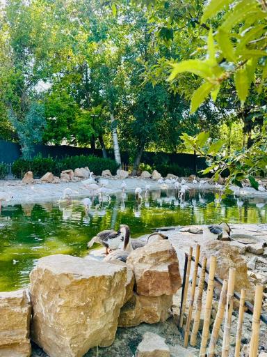 عکس باغ پرندگان مشهد