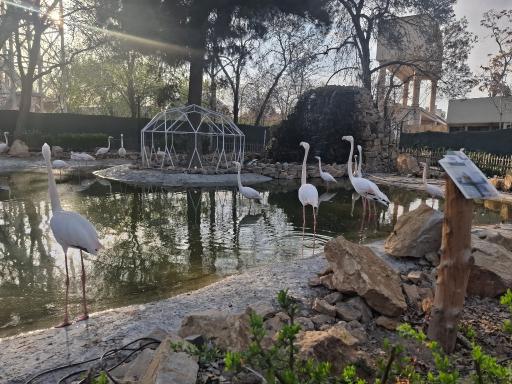 عکس باغ پرندگان مشهد