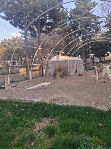 عکس باغ پرندگان مشهد