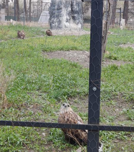 عکس باغ پرندگان مشهد