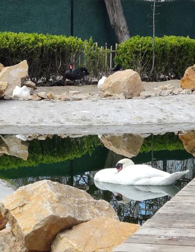 عکس باغ پرندگان مشهد