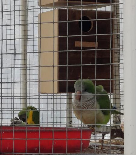 عکس باغ پرندگان مشهد