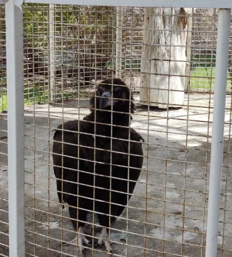 عکس باغ پرندگان مشهد