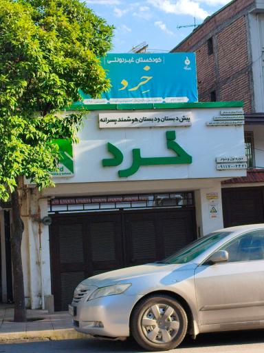 عکس دبستان هوشمند پسرانه خرد 