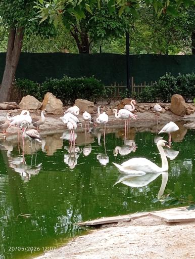 عکس باغ پرندگان مشهد