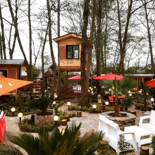 عکس رستوران و کافی شاپ سو