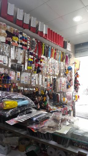 عکس گالری سنجاقک 