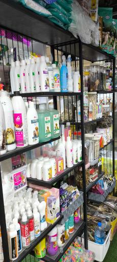 عکس فروشگاه لوازم حیوانات خانگی (دن ریز)