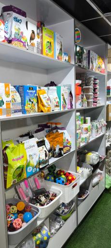 عکس فروشگاه لوازم حیوانات خانگی (دن ریز)