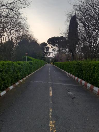 عکس اردوگاه فرهنگی ورزشی امام رضا