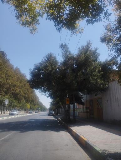 عکس  ابتدای تلاش
