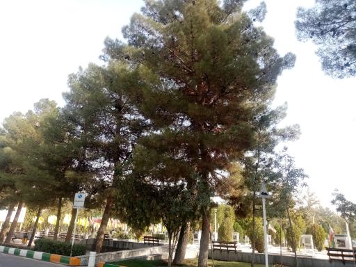 عکس آرامستان بهشت رضا