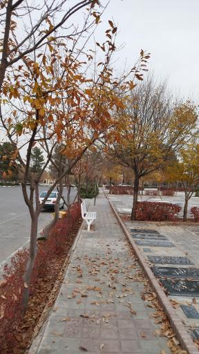 عکس آرامستان بهشت رضا