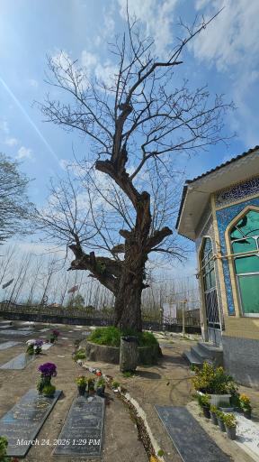 عکس بقعه و مسجد دهنده