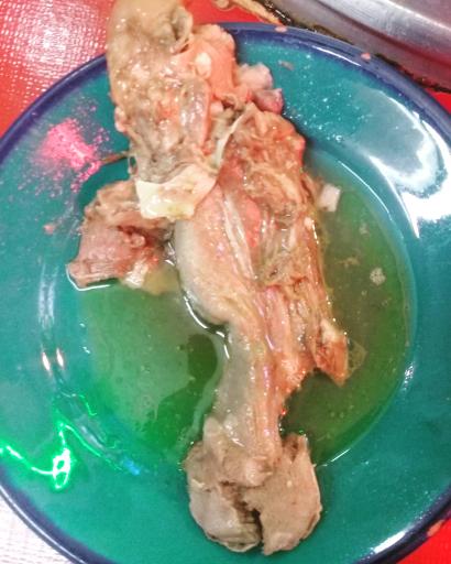 عکس کله پزی پیام